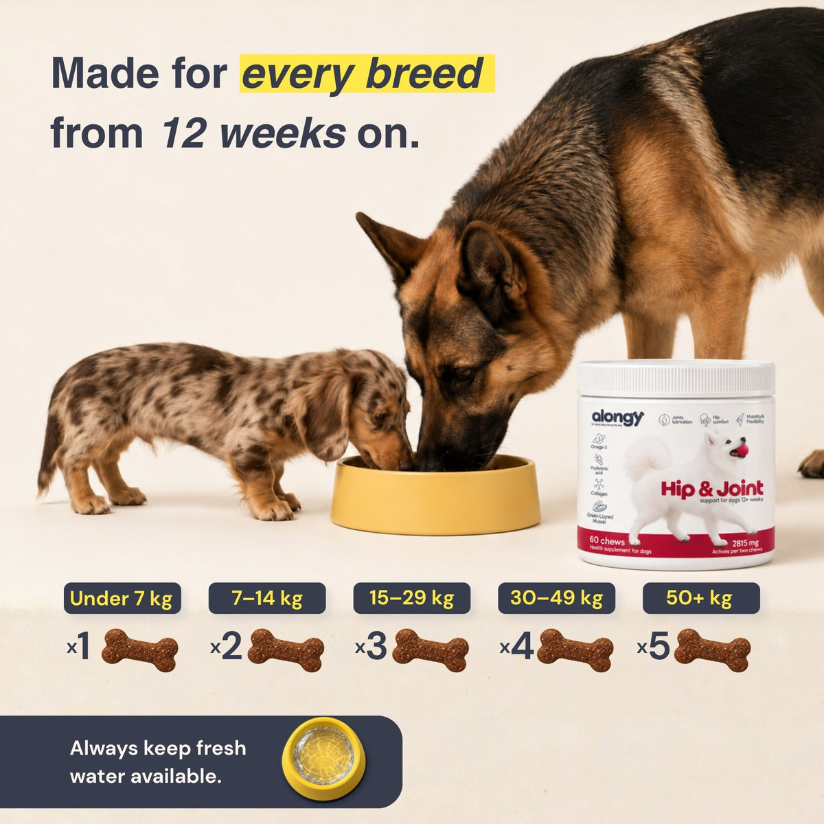 Integratori per anche e articolazioni dei cani